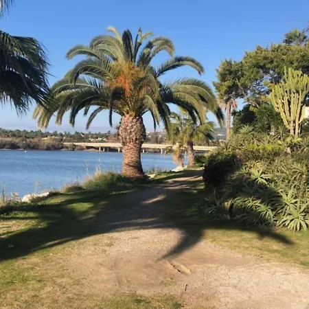 New View Marina - Jungla Del Loro *